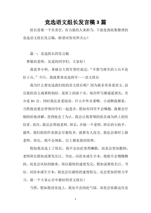 竞选语文组长发言稿3篇