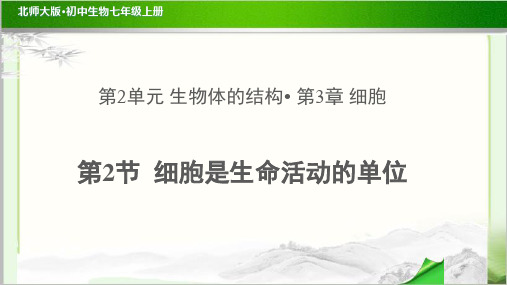 《细胞是生命活动的单位》示范公开课教学课件【生物北师大七年级上册】