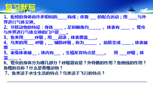 第三节动物的运动课件济南版生物七年级上册