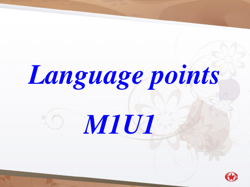 Language pointsM1U1