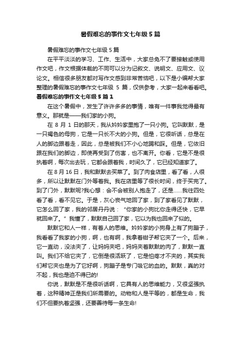 暑假难忘的事作文七年级5篇