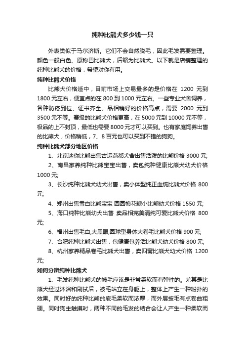 纯种比熊犬多少钱一只