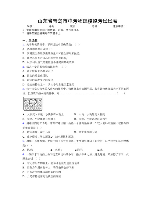 最新山东省青岛市中考物理模拟考试试卷及解析