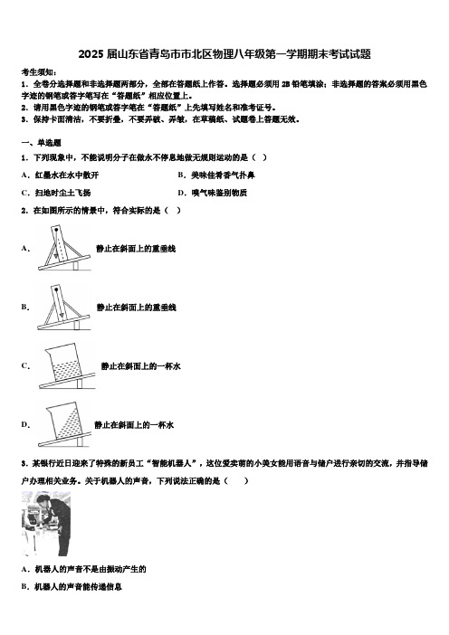 2025届山东省青岛市市北区物理八年级第一学期期末考试试题含解析