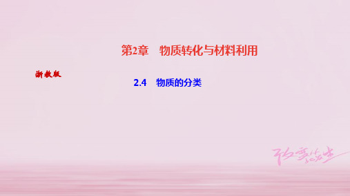 2019年秋浙教版九年级科学上册习题课件：2.4 物质的分类 (共25张PPT)