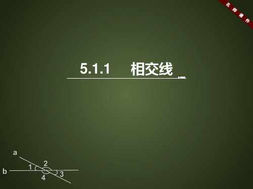 人教版七年级数学下册《相交线》名师课件