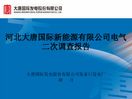 河北大唐国际新能源有限公司电气二次调研报告