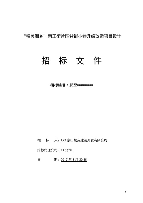 精美湘乡南正街片区背街小巷升级改造项目设计招标文件【模板】