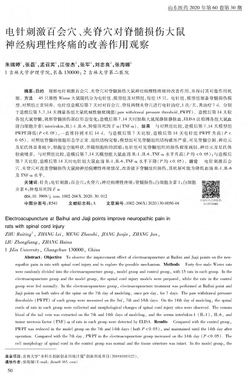 电针刺激百会穴、夹脊穴对脊髓损伤大鼠神经病理性疼痛的改善作用观察