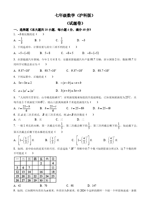 安徽省淮北市“五校联考”2024-2025学年七年级上学期11月期中数学试题(含答案)