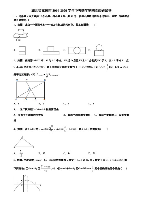 湖北省孝感市2019-2020学年中考数学第四次调研试卷含解析