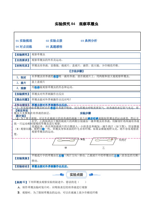 实验探究04观察草履虫