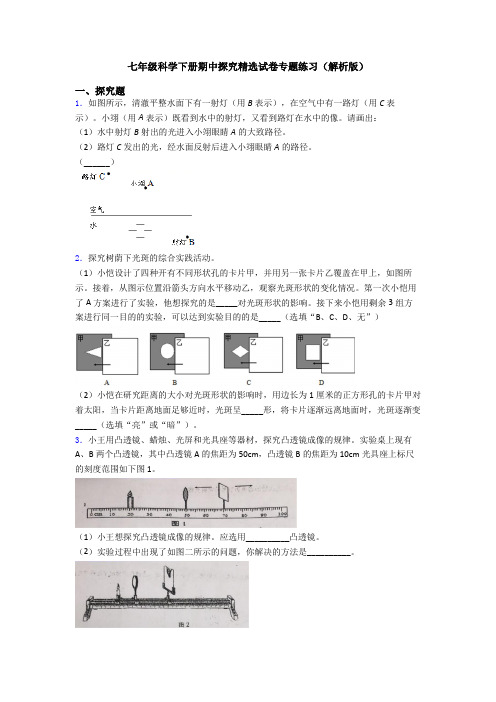 七年级科学下册期中探究精选试卷专题练习(解析版)