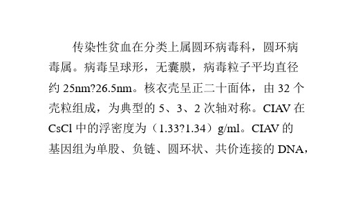 鸡传染性贫血的病原