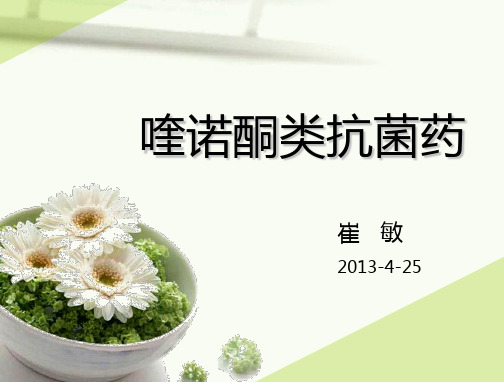喹诺酮类抗菌药2013-4-25