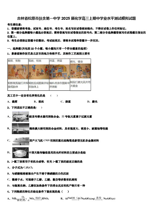 吉林省松原市扶余第一中学2025届化学高三上期中学业水平测试模拟试题含解析