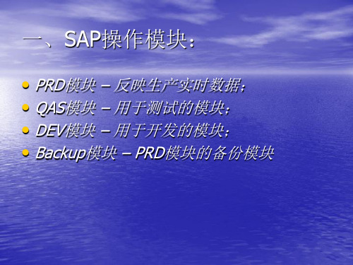 SAP基本操作培训