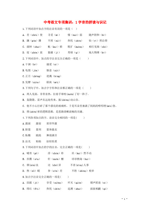 2018年中考语文专项集训1字音的拼读与识记