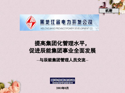 集团公司经营管理模式(ppt 129页)