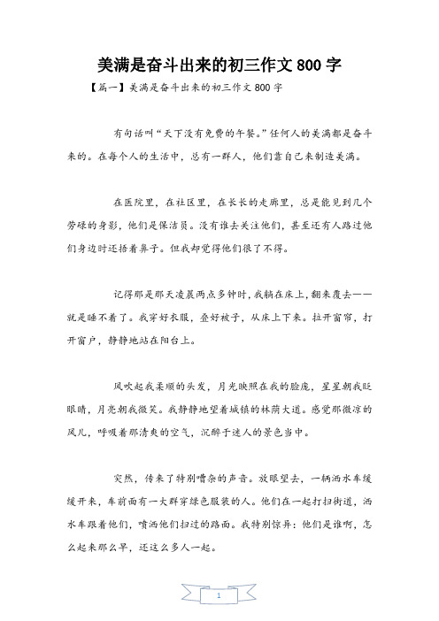 幸福是奋斗出来的初三作文800字