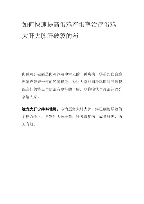 如何快速提高蛋鸡产蛋率治疗蛋鸡大肝大脾肝破裂的药