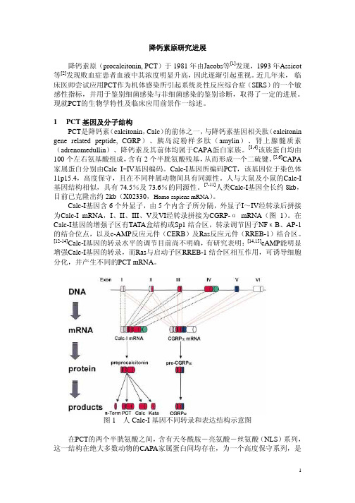 pct研究进展