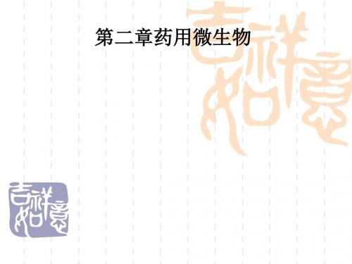 第二章药用微生物PPT课件