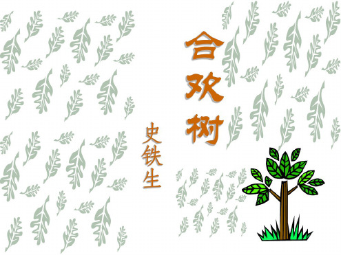 高一语文合欢树