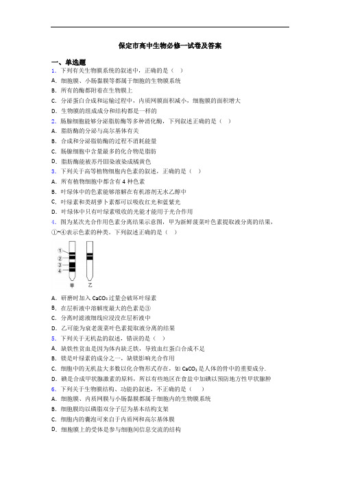 保定市高中生物必修一试卷及答案