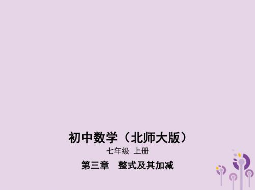 七年级数学上册第三章整式及其加减4整式的加减(二)课件(新版)北师大版