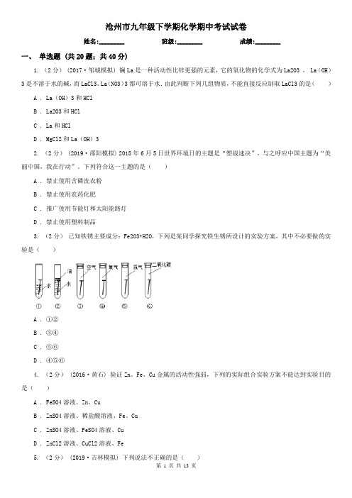 沧州市九年级下学期化学期中考试试卷