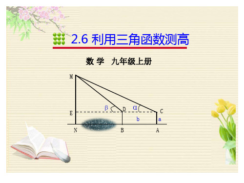 初中数学_2.6 利用三角函数测高教学课件设计