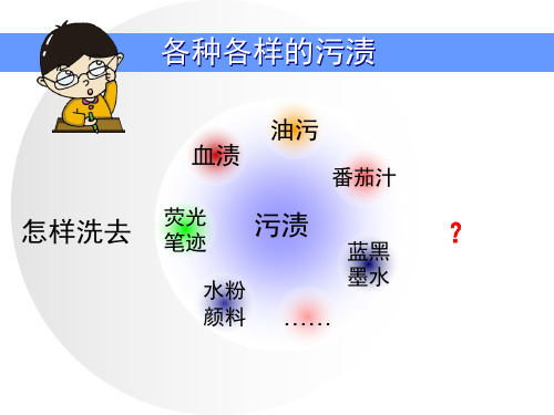 苏教版6年级科学洗衣服的学问课件ppt