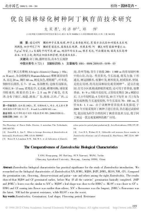 优良园林绿化树种阿丁枫育苗技术研究_龙双畏