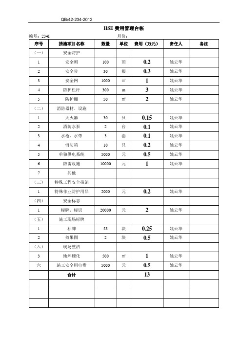 HSE费用管理台帐