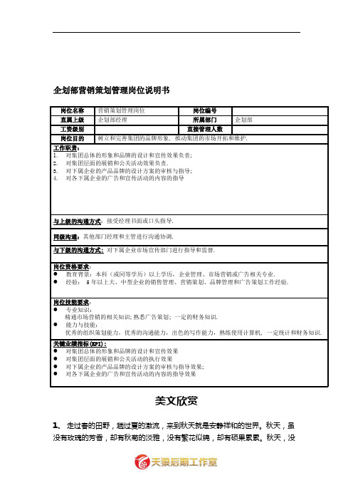 企划部营销策划岗位说明书.doc