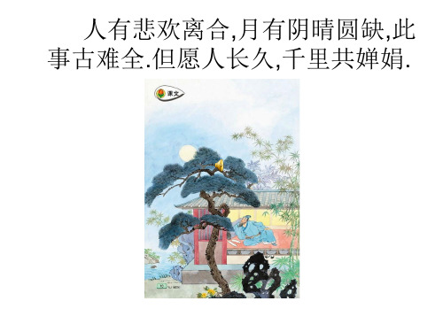 但愿人长久课件