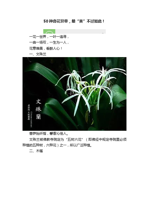 50种奇花异草，最“美”不过如此！