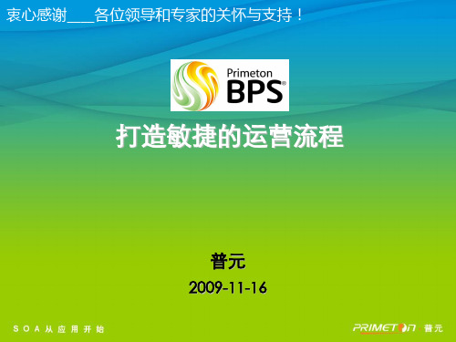 普元流程平台-BPS