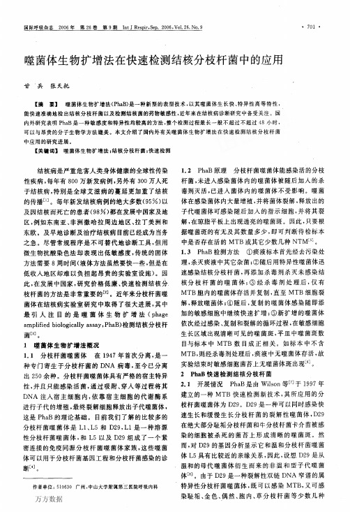 噬菌体生物扩增法在快速检测结核分枝杆菌中的应用