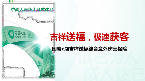 国寿e店吉祥送福综合意外伤害保险销售亮点实务介绍组合推荐19页