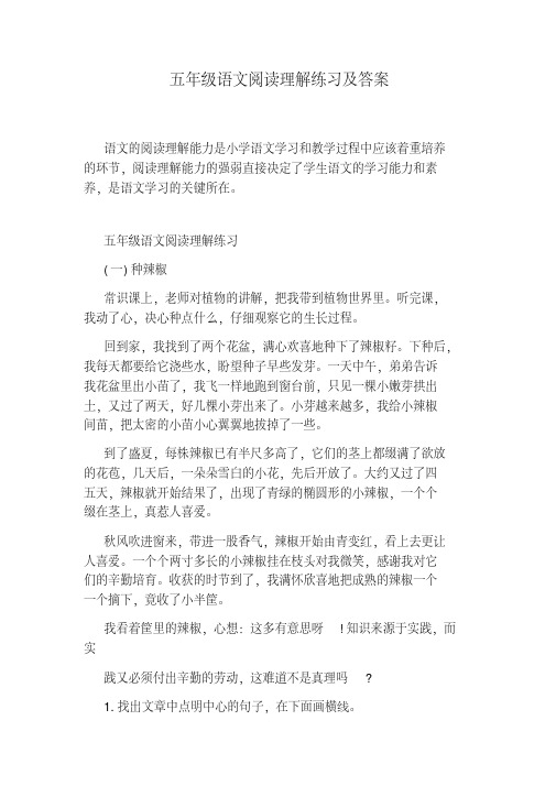 五年级语文阅读理解练习及答案