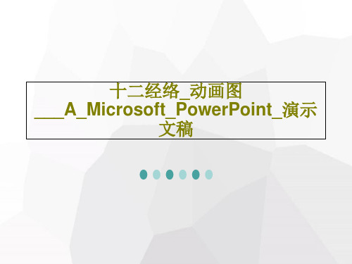 十二经络_动画图___A_Microsoft_PowerPoint_演示文稿共41页文档