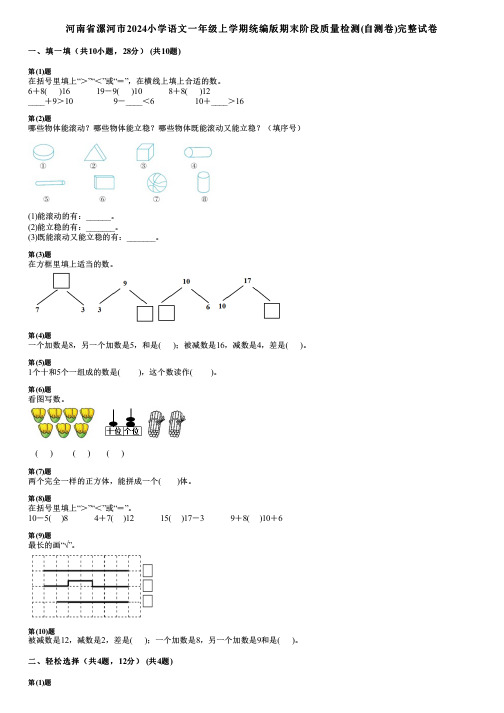 河南省漯河市2024小学数学一年级上学期统编版期末阶段质量检测(自测卷)完整试卷