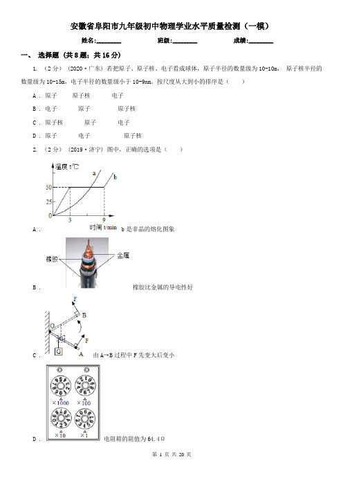 安徽省阜阳市九年级初中物理学业水平质量检测(一模)