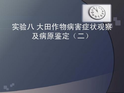 实验八 大田作物病害症状观察及病原鉴定