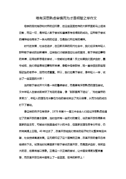 唯有深思熟虑审慎而为才是明智之举作文