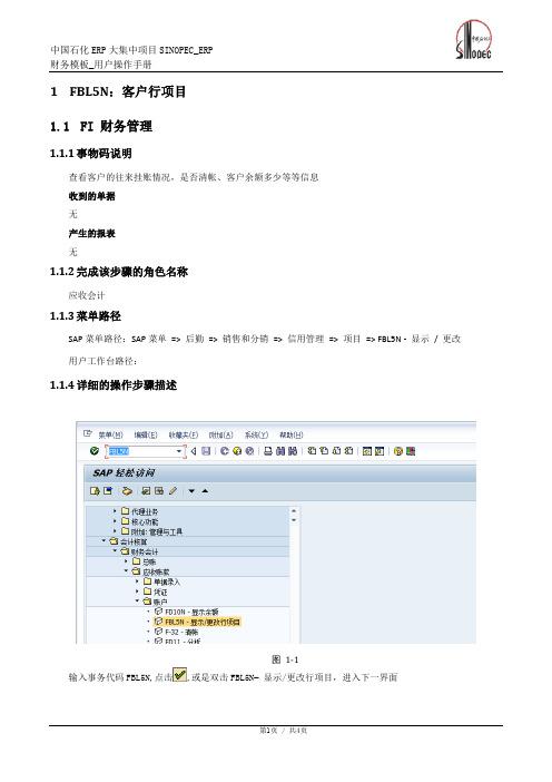 User Manual_HQ_FI_FBL5N客户行项目 _V1 0