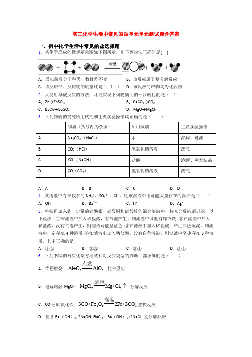 初三化学生活中常见的盐单元单元测试题含答案