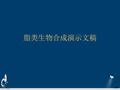 脂类生物合成演示文稿